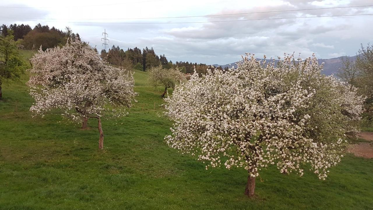 Ferienwohnungen Klimbacher Wolfsberg Bagian luar foto
