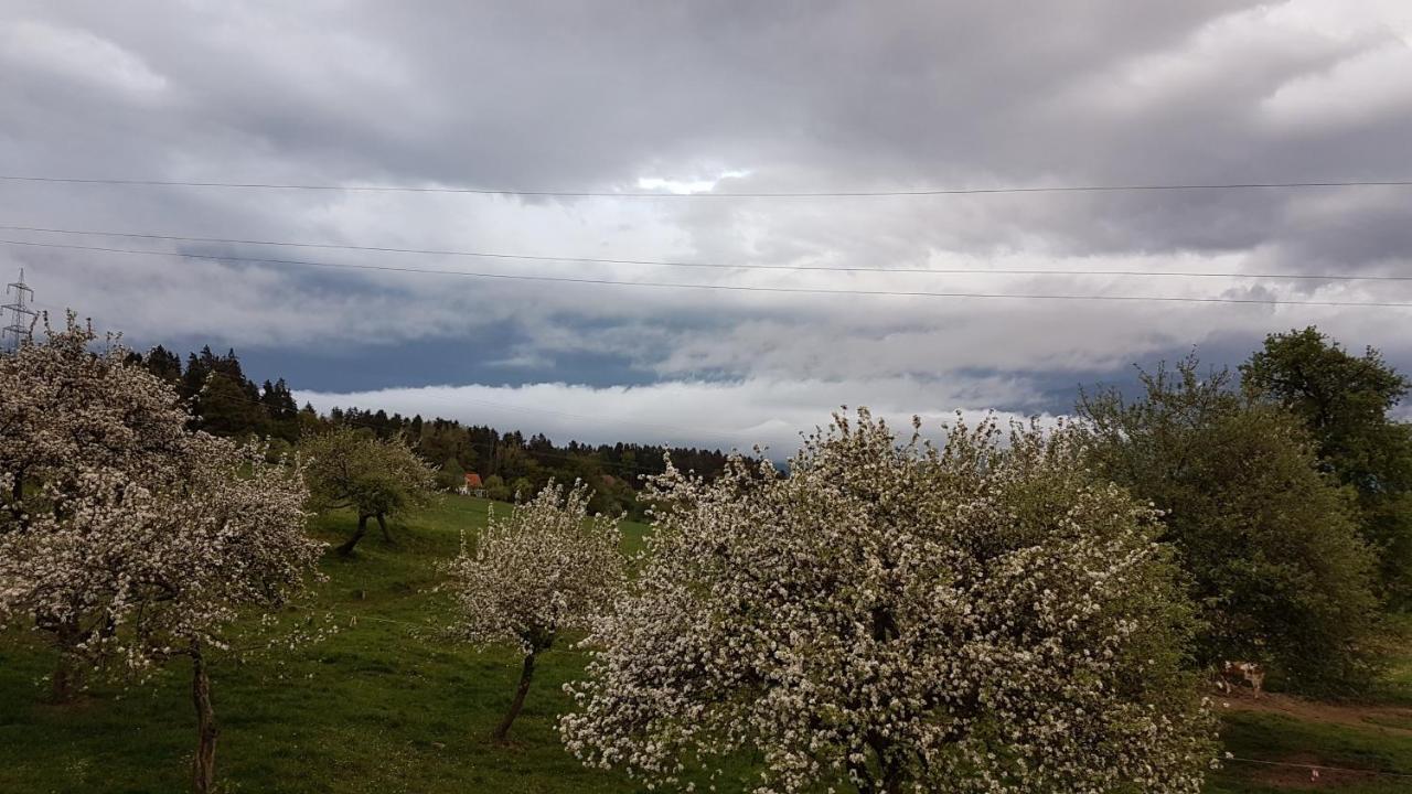 Ferienwohnungen Klimbacher Wolfsberg Bagian luar foto
