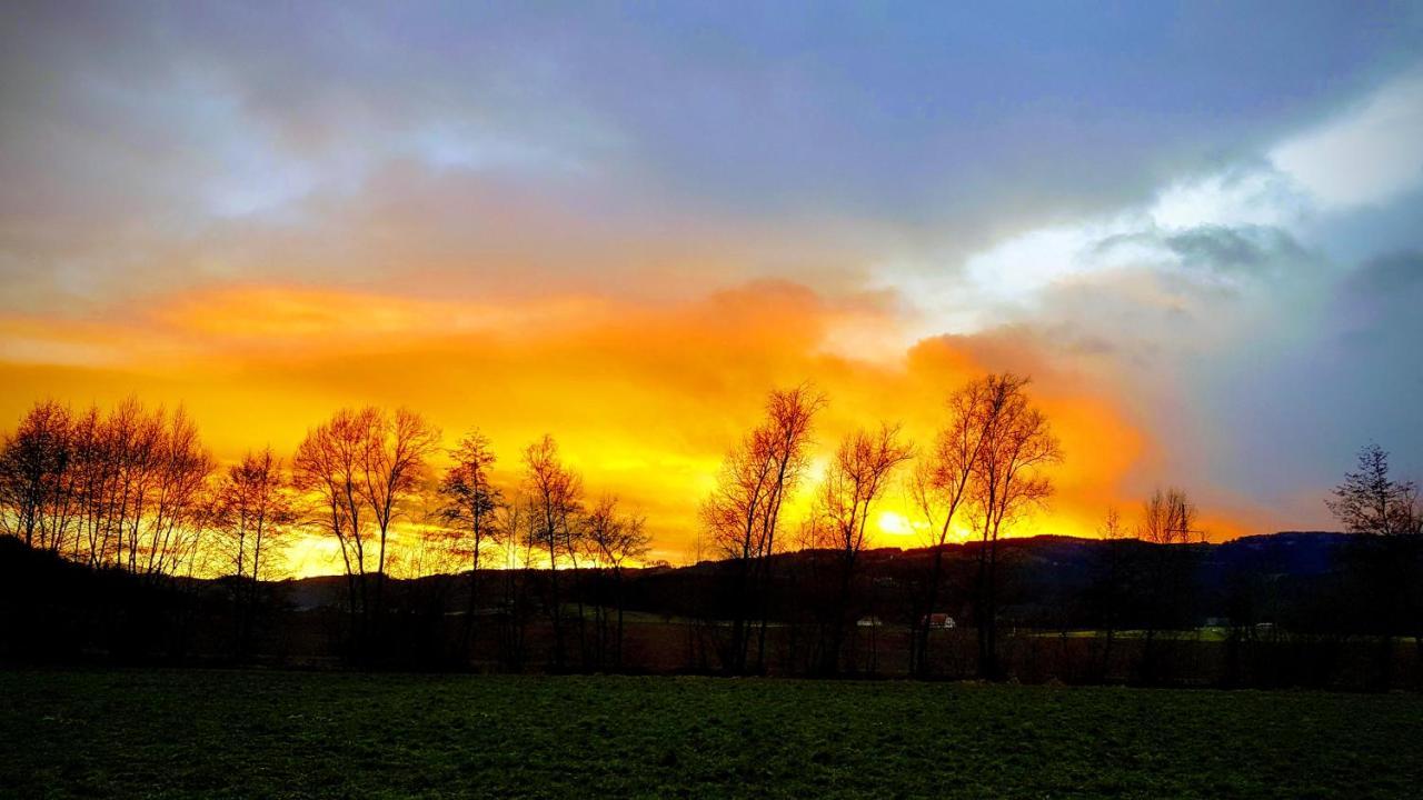 Ferienwohnungen Klimbacher Wolfsberg Bagian luar foto