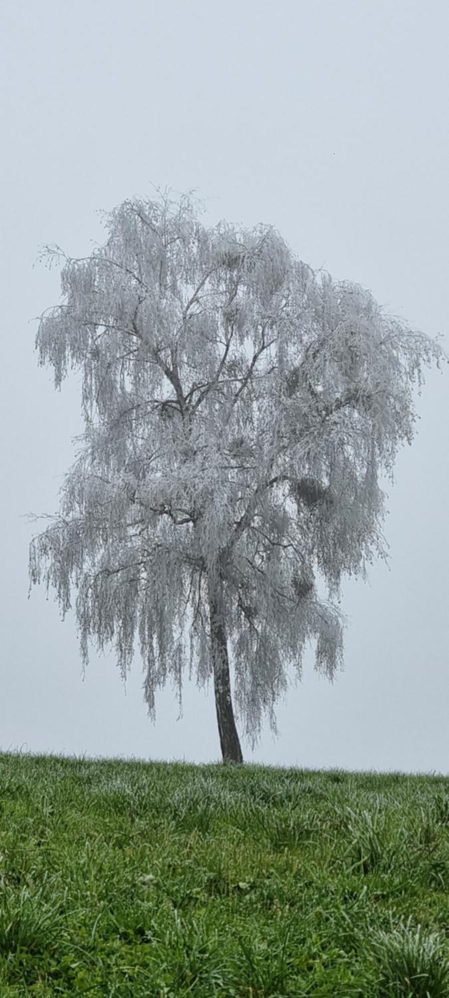 Ferienwohnungen Klimbacher Wolfsberg Bagian luar foto