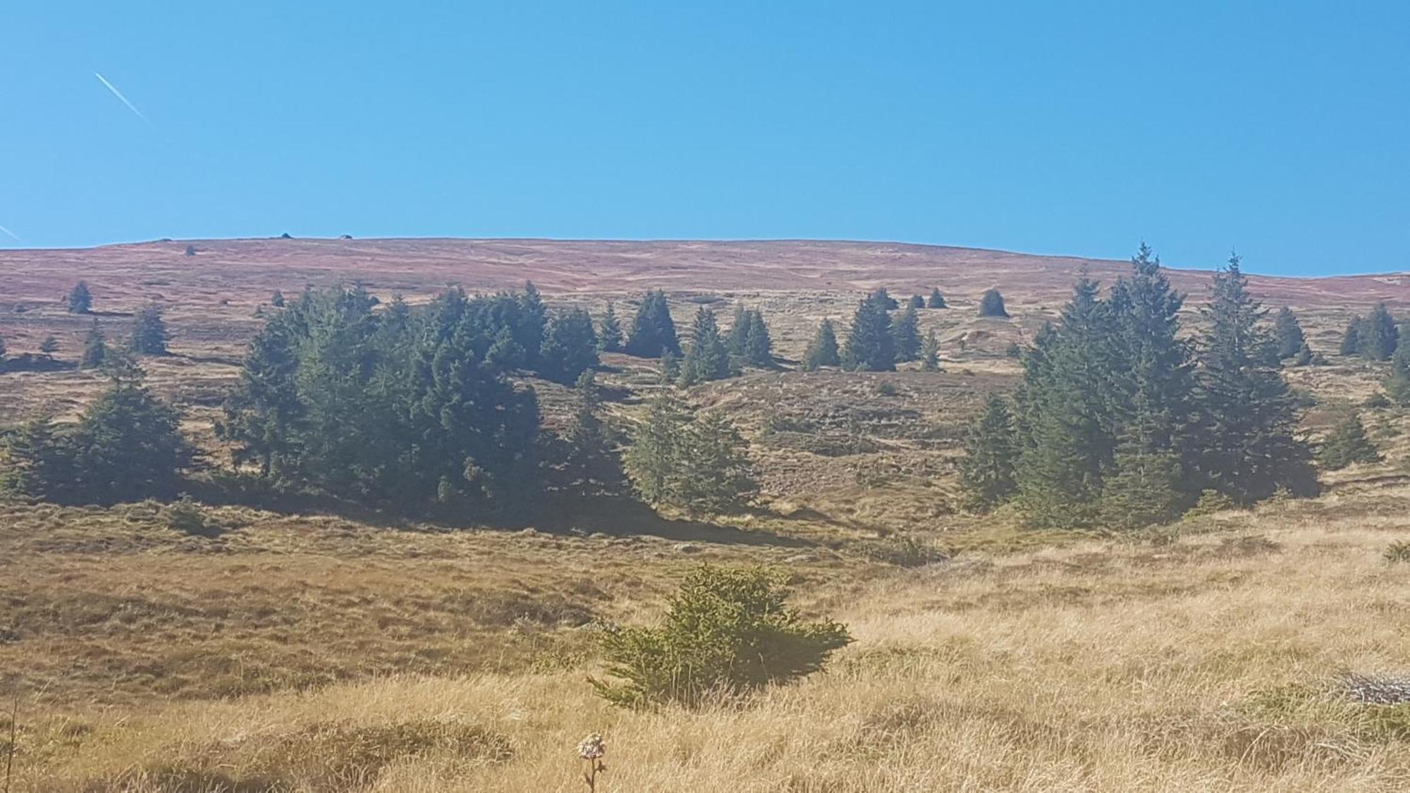 Ferienwohnungen Klimbacher Wolfsberg Ruang foto